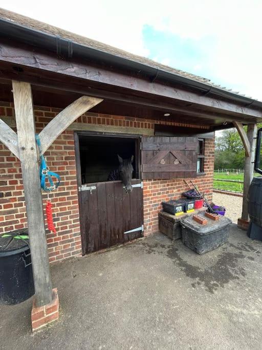 The Stable, Grove End Farm Apartment Petworth Exterior photo